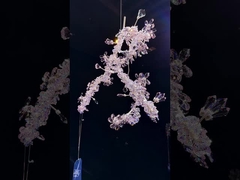 araña de cristal