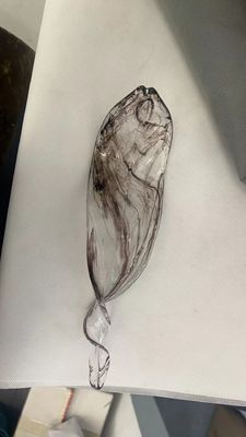 Proyecto de decoración de techos de hoteles contemporáneos a medida de gran tamaño lámpara de cristal con colgante de vidrio hecha a mano Lámpara de candelabros